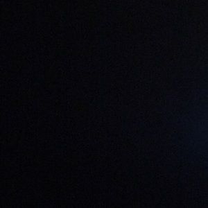 Meet your Posher, Lily